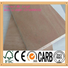 (1220X2440mm) Pine / sapele / contraplacado comercial Birch Faced